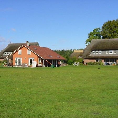 Ferienwohnung Nr 07 Og Spitzboden 보른 외부 사진